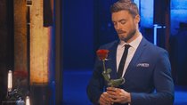 „Der Bachelor“ – Nach der letzten Rose: Niko wird von Fans als schlimmster Bachelor beschimpft