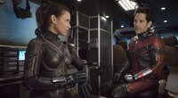 Wegen MCU-Durcheinander: Marvel-Star wollte vor Debüt eigentlich aussteigen