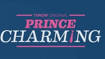 „Prince Charming“ Staffel 2 – Das sind die 20 Kandidaten