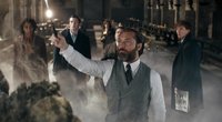 Neue „Harry Potter“-Reihe scheitert im Kino: Nach „Phantastische Tierwesen 3“ droht das Aus