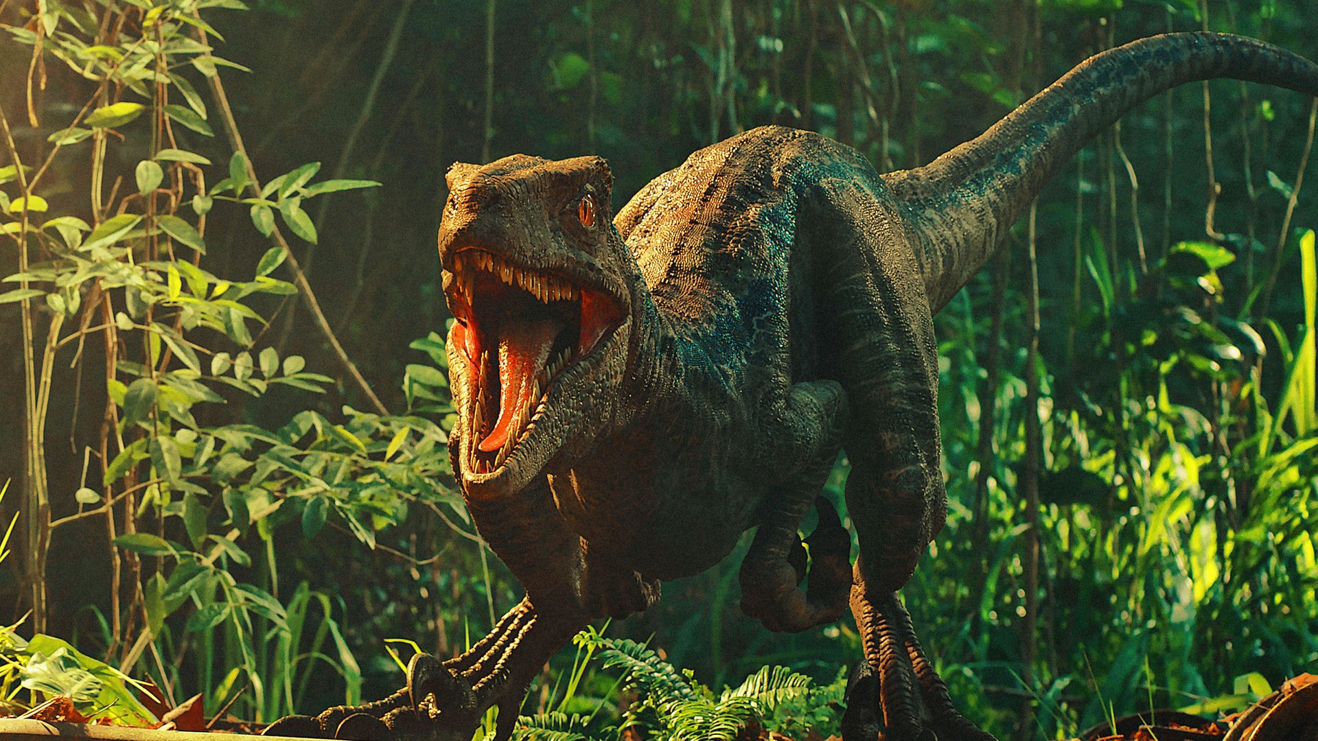 „Jurassic World 4“: Erste Bilder und offizieller Titel für neuen Dino-Thriller enthüllt