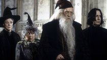 „Harry Potter"-Star kritisiert erneut erwachsene Fans: „Ich denke einfach, dass es für Kinder ist“