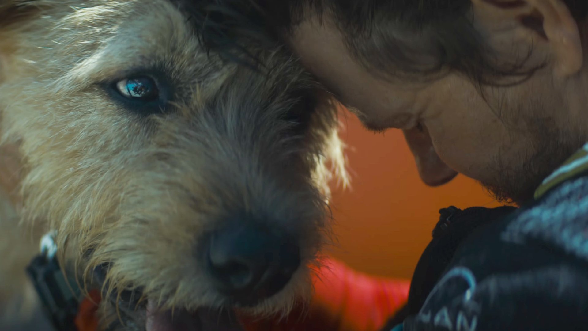 #Erster emotionaler Trailer mit Mark Wahlberg und einem Hund, die sich durch 700 Kilometer kämpfen