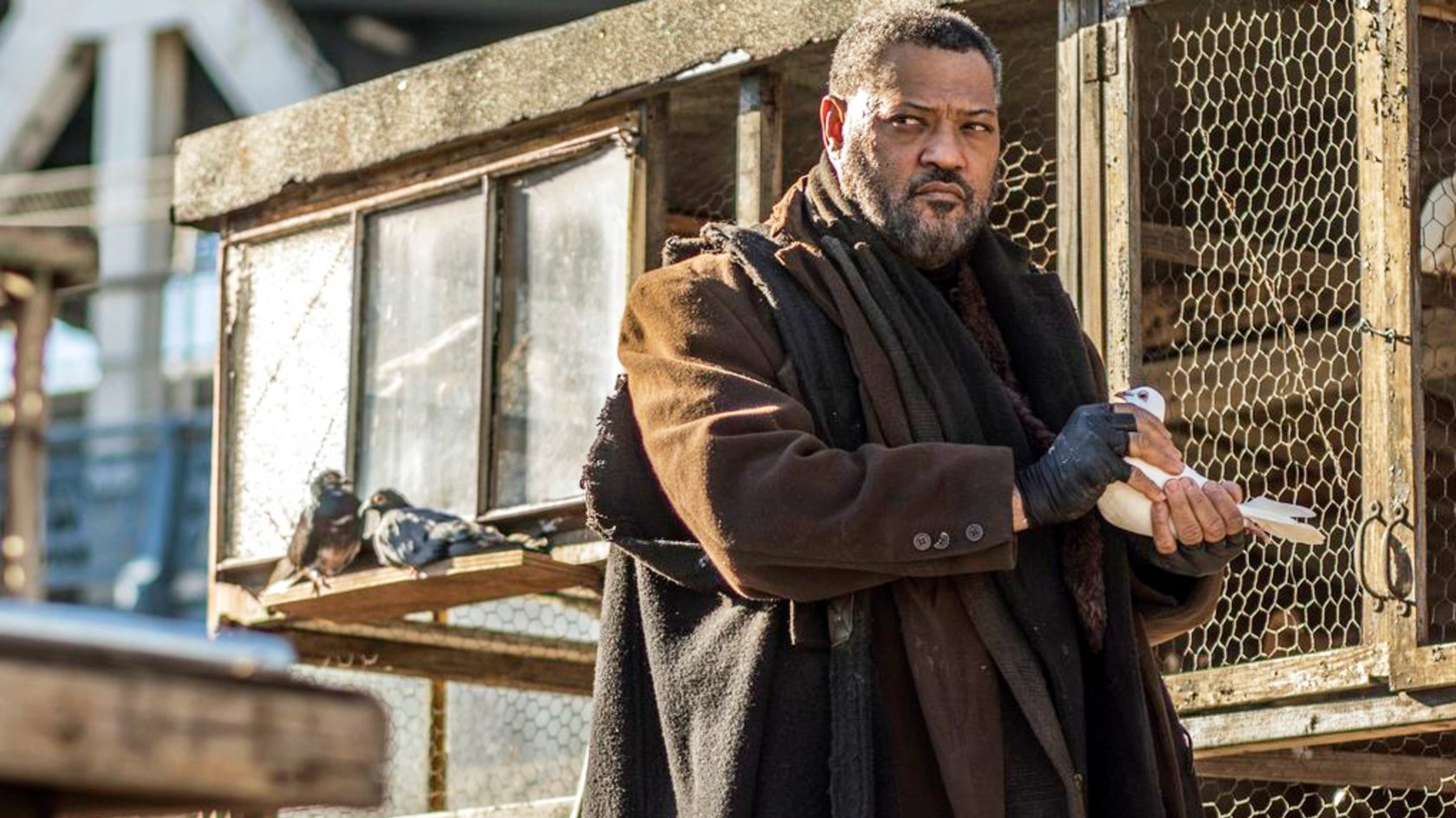 „John Wick 4“: Rückkehrer endlich bestätigt und eine neue Figur soll die Fans begeistern