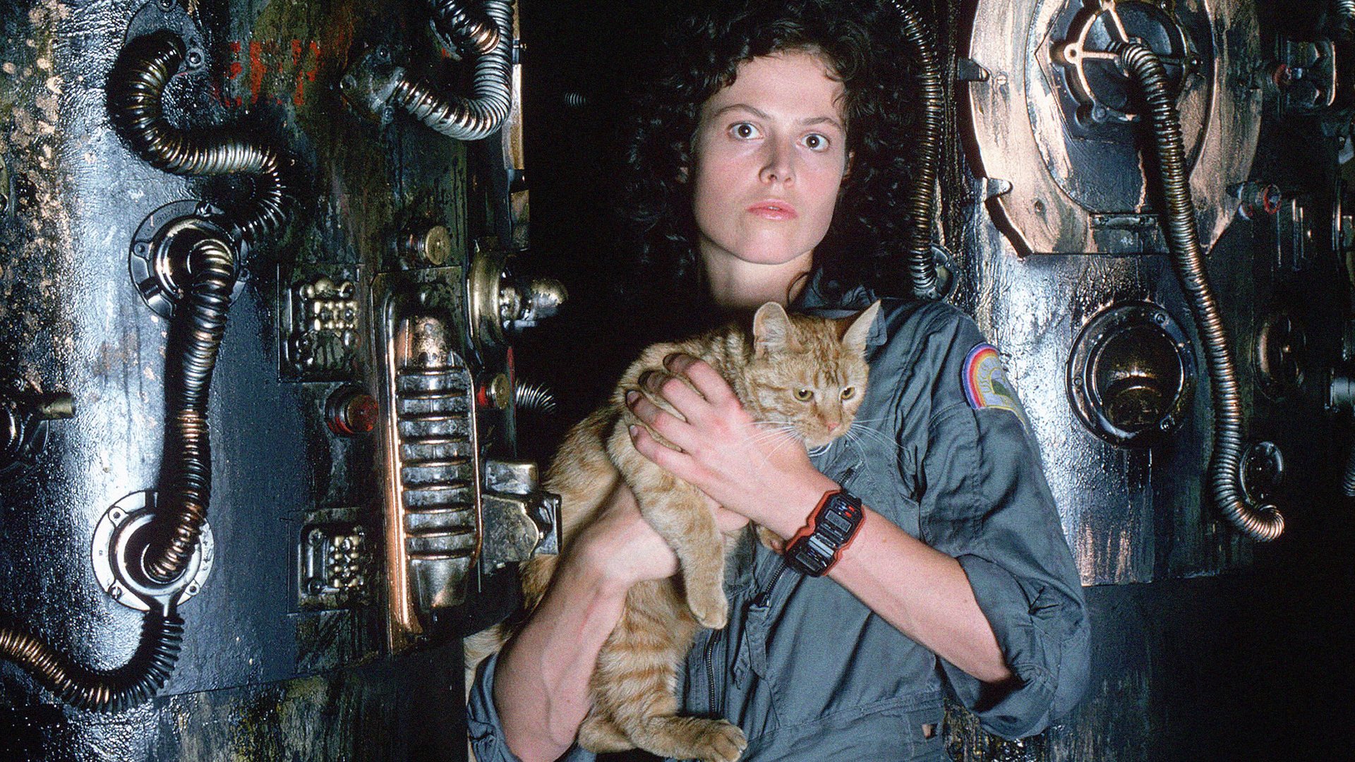 Ellen Ripley ist tatsächlich im Sci-Fi-Horror „Alien: Romulus“ – und fast niemand hat es bemerkt