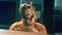 Nach 33 Jahren: Marvel-Star produziert neuen „ALF“-Content – doch Fans dürften enttäuscht sein