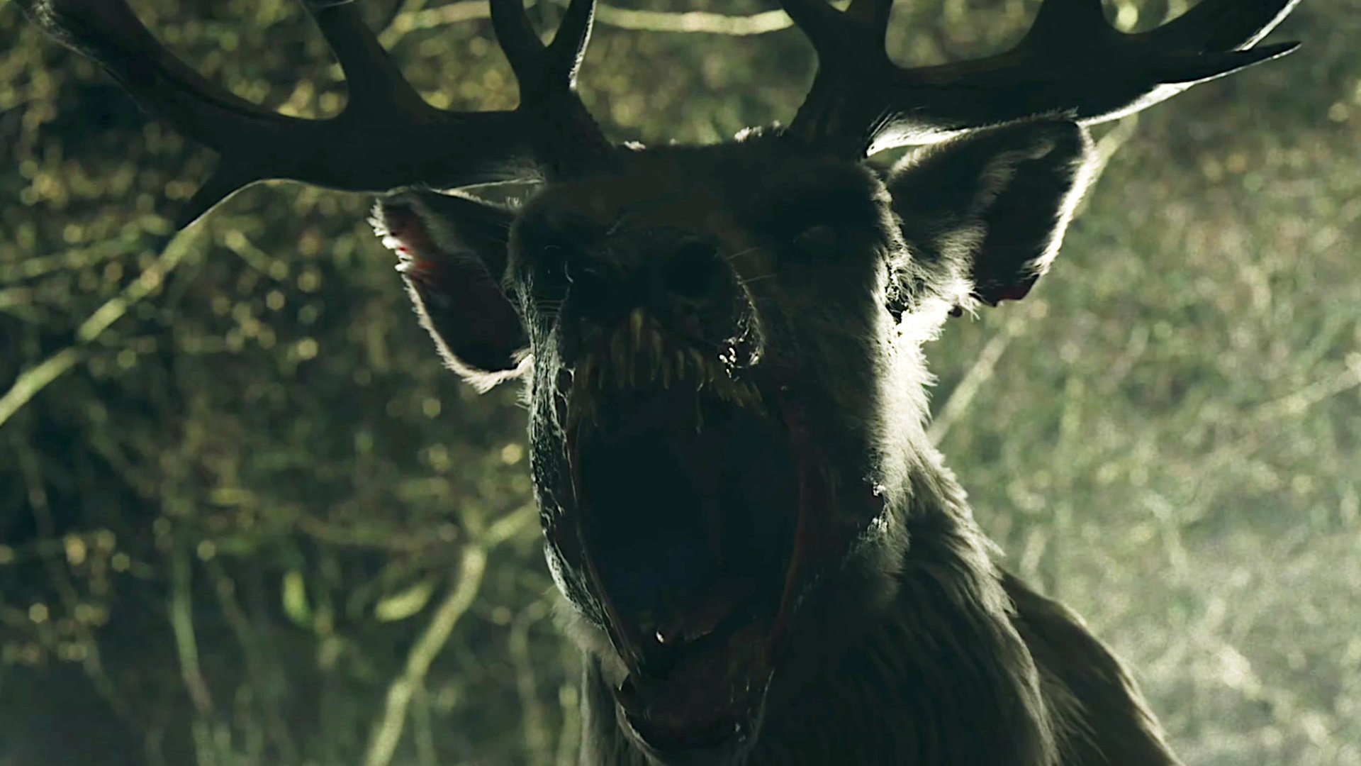 #Erster Horror-Trailer zeigt Bambi als Zombie-Hirsch