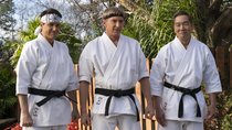 „Cobra Kai“ Staffel 6: Großes Karate-Finale auf Netflix gestartet – wann kommt Teil 2?