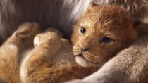 Erste Reaktionen zu „Der König der Löwen“: Disneys Remake wird als Meisterwerk gefeiert!