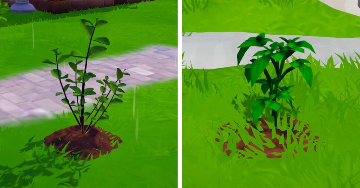 Disney Dreamlight Valley Oregano und Basilikum finden