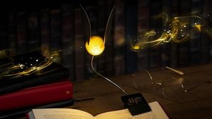 Diese „Harry Potter“-Lampe kostet nur 15 Euro bei Amazon