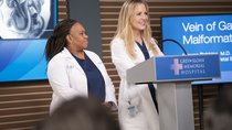 „Grey's Anatomy“ Staffel 20: Wann kommt Folge 10 auf Disney+? Alle Sendetermine im Stream und TV