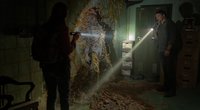 „The Last of Us“: Die Pilz-Pandemie in der Serie erklärt – Cordyceps gibt es wirklich