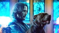 Sorge um Keanu Reeves: Rückkehr als John Wick & Actionstar gefährdet