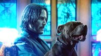 Sorge um Keanu Reeves: Rückkehr als John Wick & Actionstar gefährdet