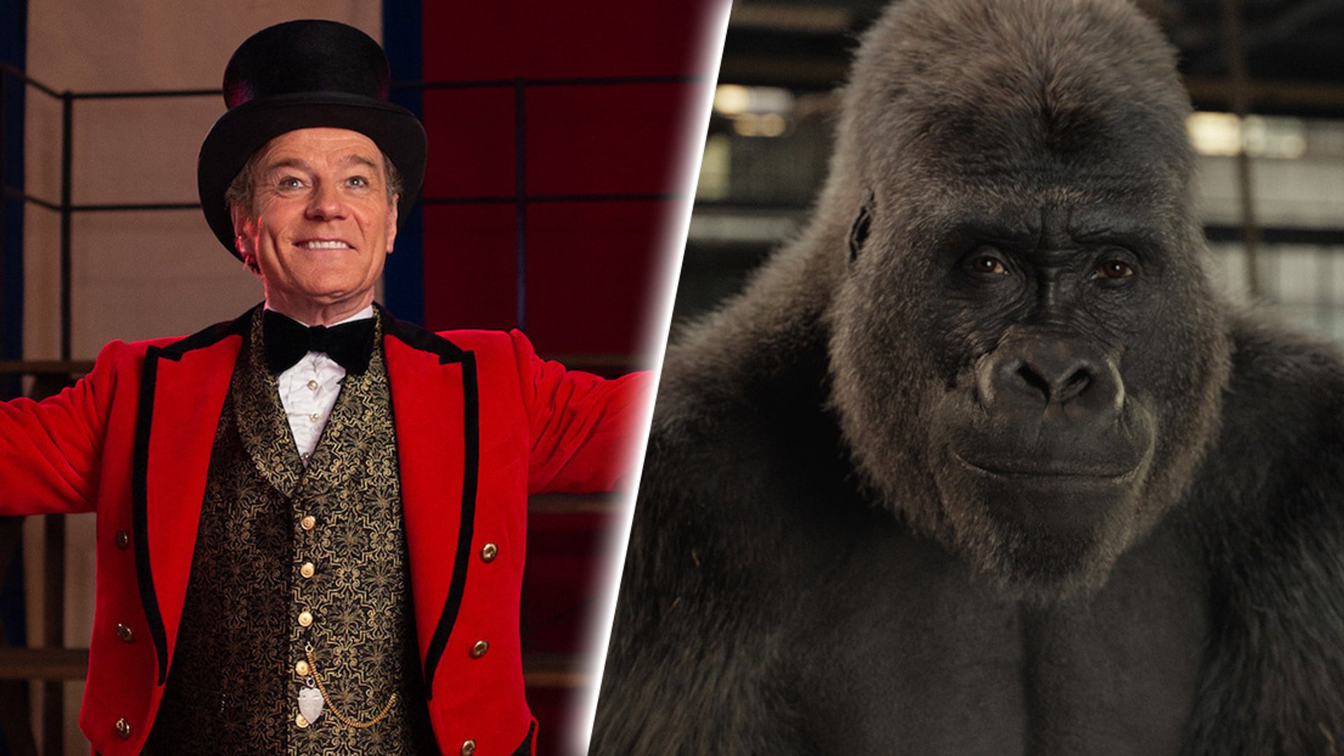 Bryan Cranston über „Der einzig wahre Ivan“ und die Parallelen zur