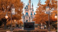 Neu auf Disney+: Alle Filme und Serien in der Übersicht – November 2024