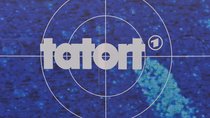 „Tatort“ fiel am Sonntag aus: ARD änderte das Programm
