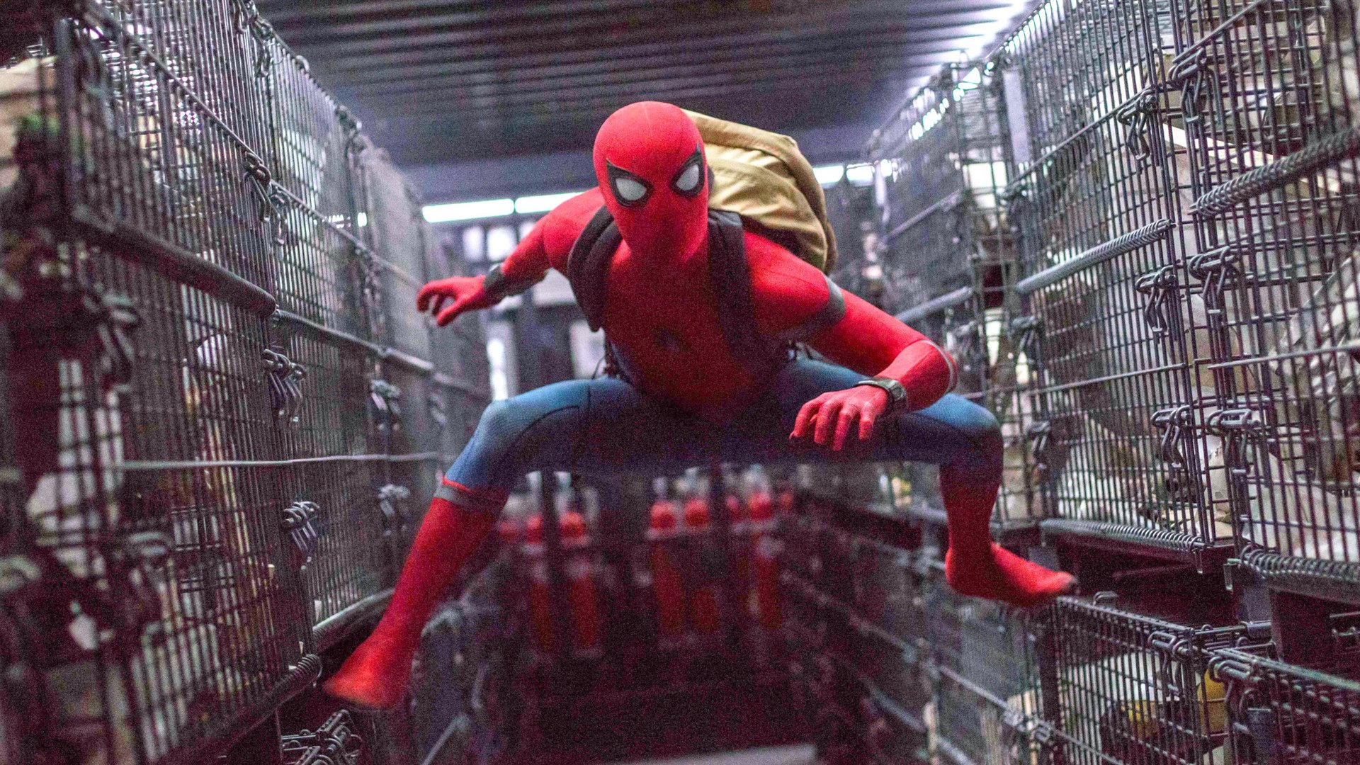 #„Spider-Man 4“ könnte noch Jahre auf sich warten lassen