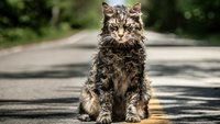 „Friedhof der Kuscheltiere“: Gewinnt 3 Fanpakete zur Stephen-King-Neuverfilmung!