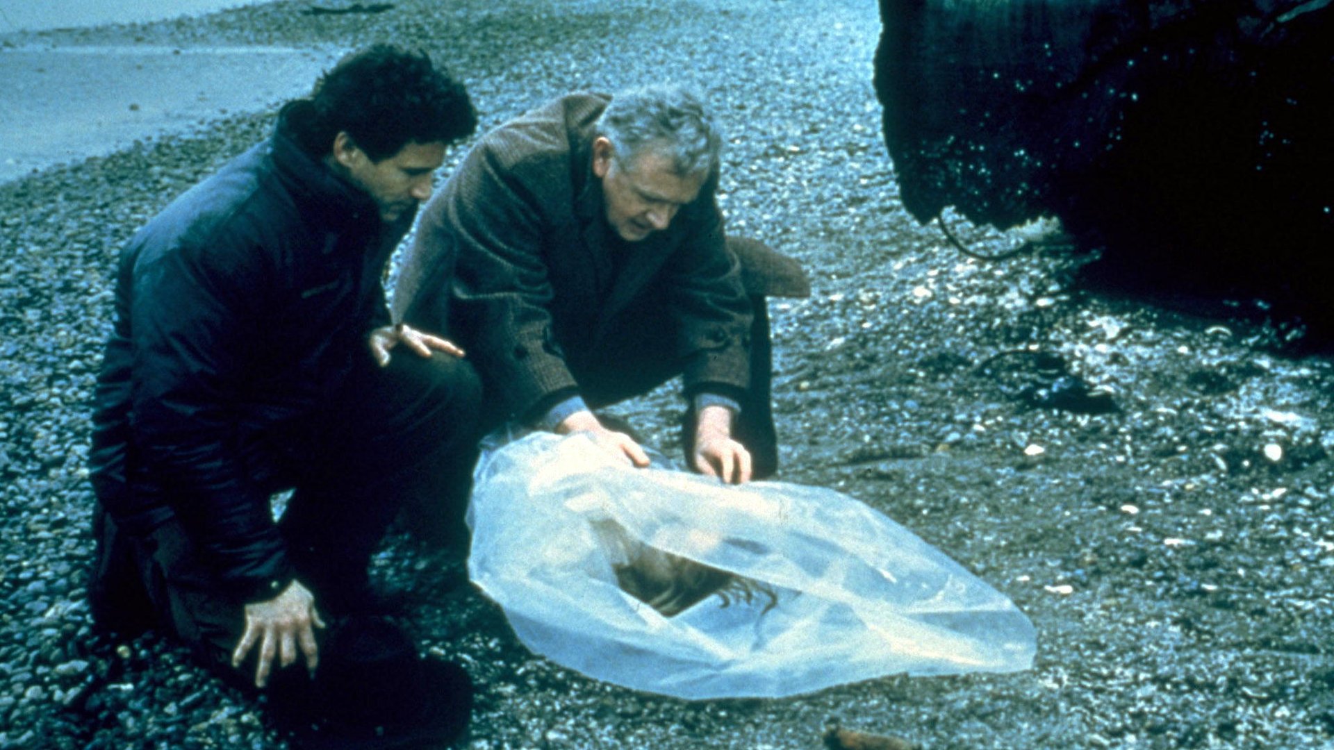 Läuft „Twin Peaks“ auf Netflix?