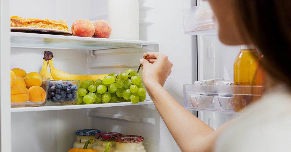 Reduce power consumption in the refrigerator: a flashlight is enough