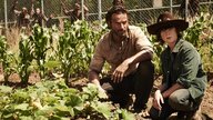 „The Walking Dead“: All diese toten Figuren sind in der neuen Folge dabei