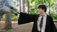 „Harry Potter“-Hörbücher und wo sie zu finden sind