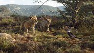 „Der König der Löwen“-Kritik: 5 Gründe, warum sich ein Kinobesuch lohnt