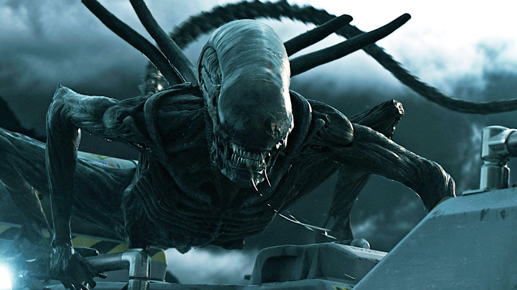 „So eklig“: Neuer „Alien“-Film enthüllt eine Szene, bei der niemand hinsehen konnte