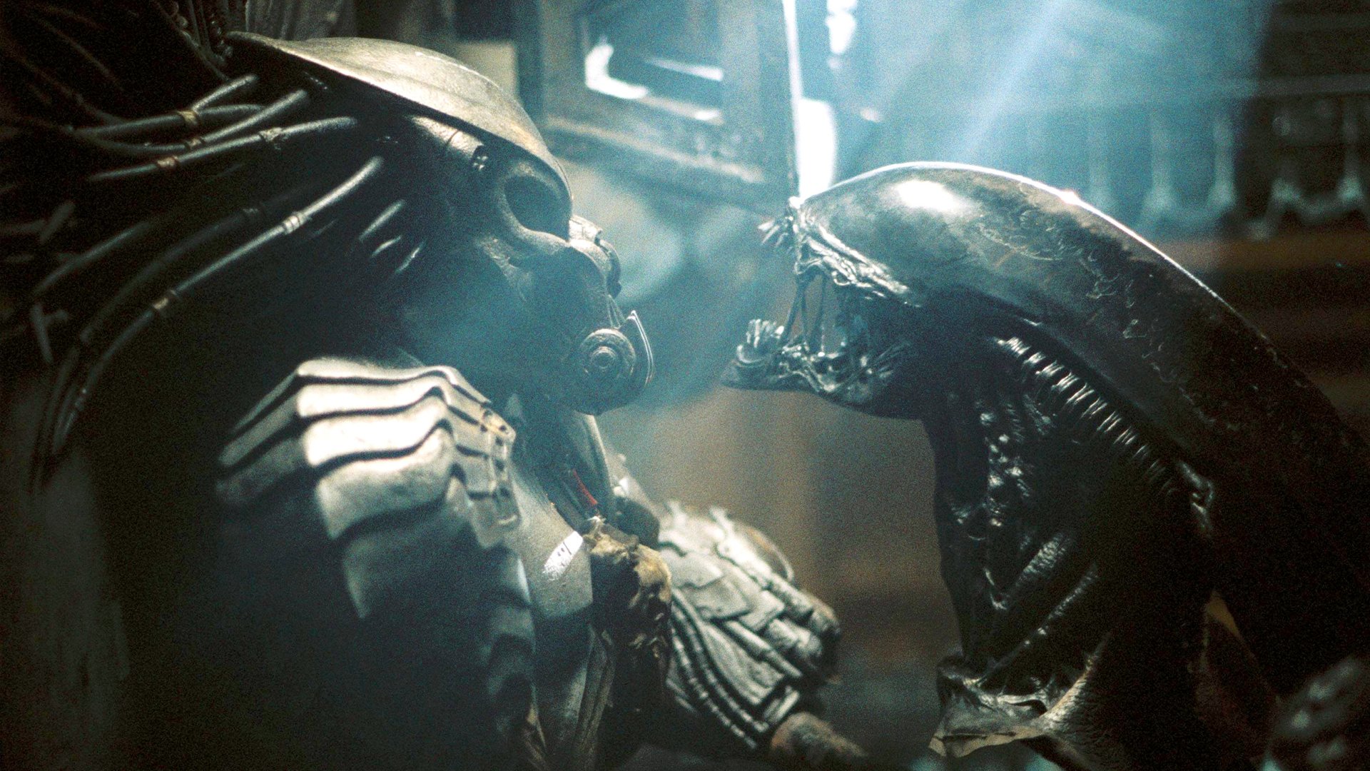 87-%-Erfolg mit „Alien Romulus“: Horror-Regisseur hat Idee für „Alien vs. Predator 3“