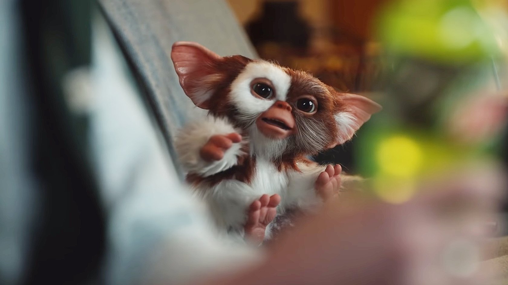 Nach über 30 Jahren: Gizmo aus „Gremlins“ meldet sich in neuem Video zurück