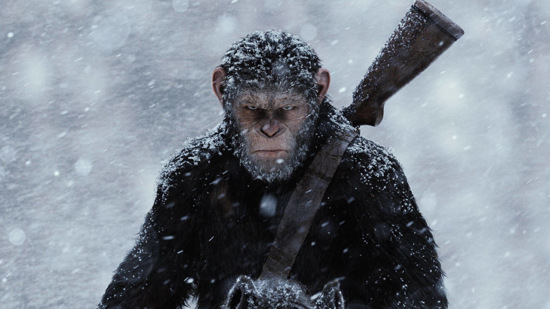 #Also doch: „Planet der Affen 4“ kommt und zeigt erstes Bild und Titel zur Blockbuster-Fortsetzung