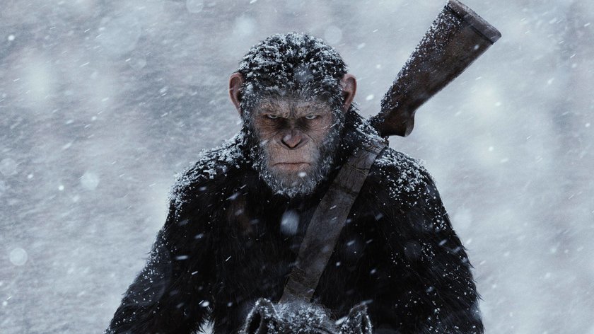 Also doch: „Planet der Affen 4“ kommt und zeigt erstes Bild und Titel zur Blockbuster-Fortsetzung