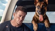 Channing Tatum ist auf den Hund gekommen: Herrlicher Trailer zur Buddy-Komödie „Dog“