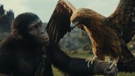 Sitzenbleiben oder Kinosaal verlassen: Hat „Planet der Affen: New Kingdom“ eine Post-Credit-Szene?
