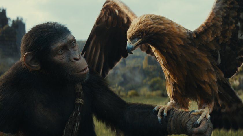 „Planet der Affen: New Kingdom“ Post-Credit-Szene: Lohnt sich das Sitzenbleiben nach Filmende?