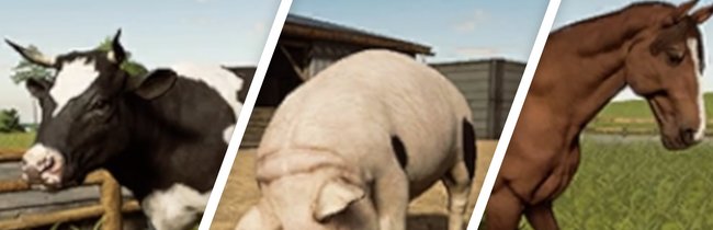 Landwirtschafts-Simulator 19: Tiere kaufen, füttern und züchten - Infos zu allen Arten