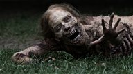 Erster Teaser zur neuen „The Walking Dead“-Serie zeigt zwei Hollywood-Größen und Alpha