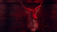 Mysteriöser Netflix-Grusel: Trailer verspricht einen ungewöhnlichen Horrorfilm
