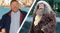 Schwieriges „Harry Potter“-Erbe: Neuer Hagrid-Darsteller gibt Fans großes Versprechen