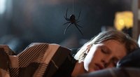 Nichts für Leute mit Spinnenphobie: Erster Horror-Trailer zu „Sting“ sorgt für Ekel und Panik