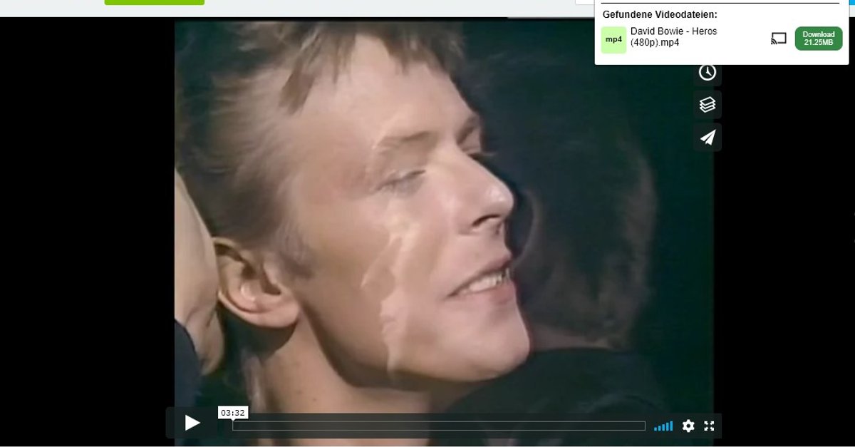 Chrome VideoDownloader für jede Webseite