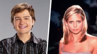 Nach „Two and a Half Men“, „Buffy“ und Co.: Diese 5 Stars haben jetzt normale Jobs