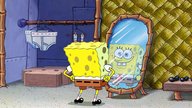 Ist SpongeBob in Wahrheit viel jünger als gedacht? Das verrät der Führerschein über das Alter des Schwammkopfs