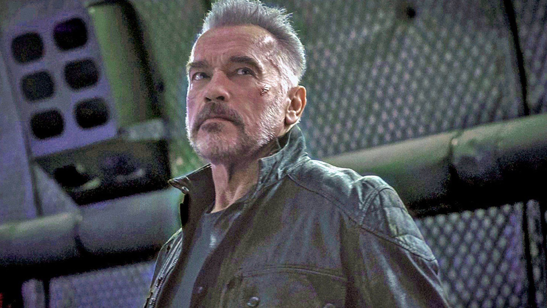 The New Trailer Makes You Finally Want Arnold Schwarzenegger S