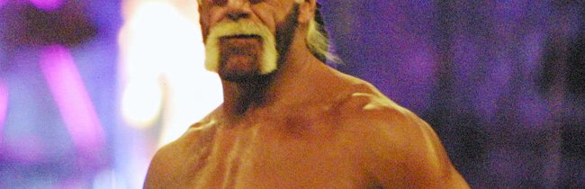 Wrestling Stars: Was machen die ehemaligen WWF-Helden heute?
