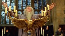 „Harry Potter“: Diese 20 Stars aus den Filmen sind bereits verstorben
