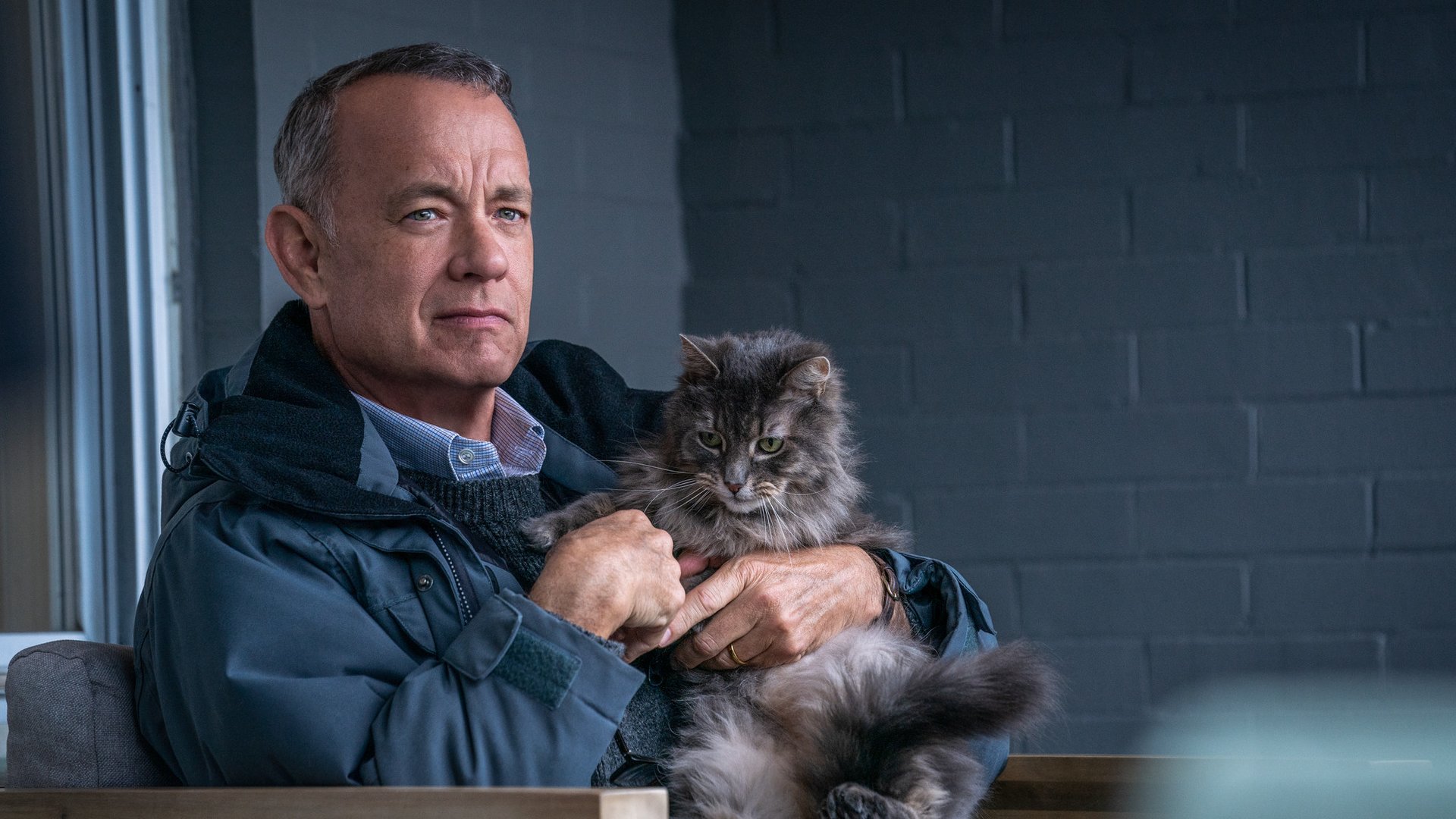 #„Ein Mann namens Otto“ im Stream auf Netflix: Überzeugt Tom Hanks als fieser Griesgram? [Kritik]