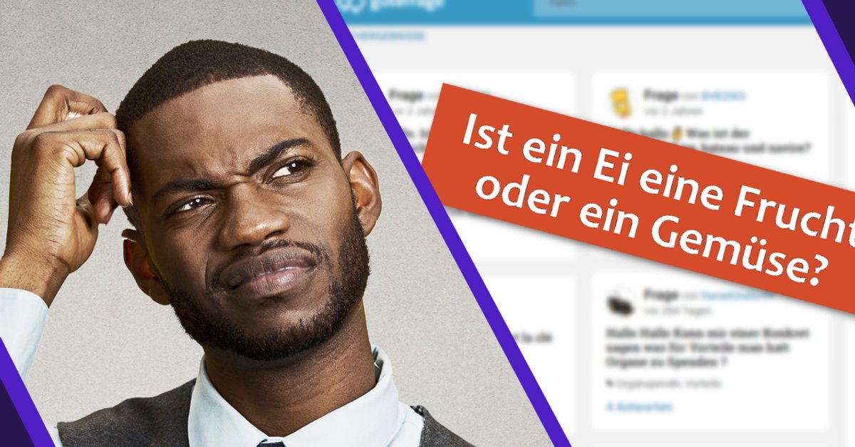 Die 19 dümmsten Fragen aller Zeiten